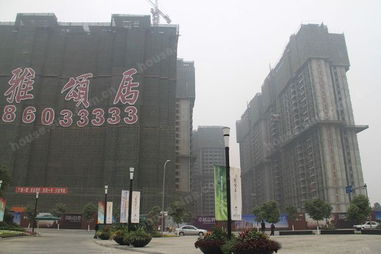 成都雅頌居 四川品質人居典范的視覺解讀