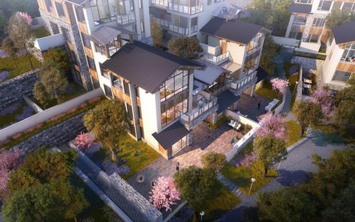 歸原小鎮(zhèn)產(chǎn)品發(fā)布會(huì)首秀驚艷山城，仙女山度假房地產(chǎn)迎來震撼盛會(huì)