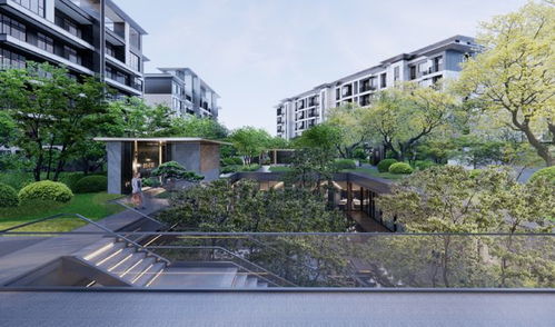 四川資本入局洛陽樓市，“領投雁”能否引領新格局？